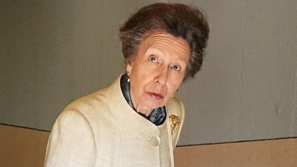 c0a8cdbc927agettyimages2213612233jpg | New Top Model Princess Anne makes major style departure in daring cut out dress