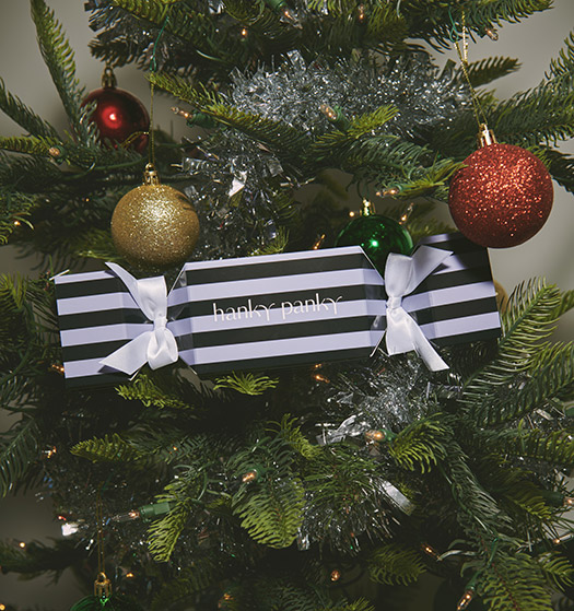 detailjpg | New Top Model A Hanky Panky Holiday Tale