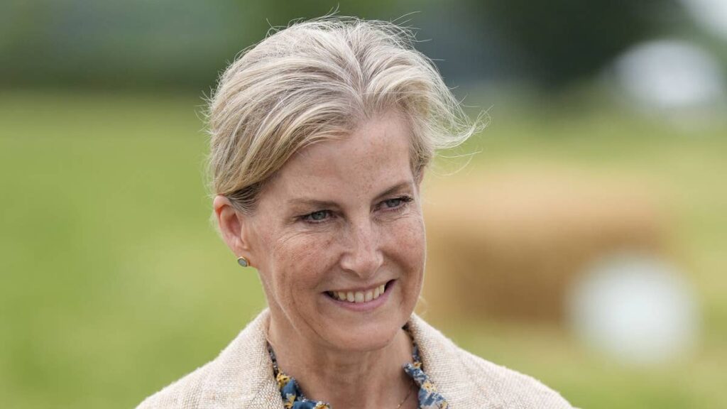 Duchess Sophie delivers a masterclass in how to wear 4 different colours in one outfit at 61
