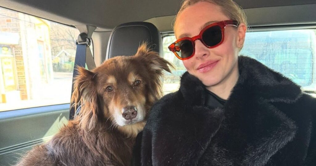 Amanda Seyfrieds VS Bra Peeks Out From Under Her Saint Laurent Coat